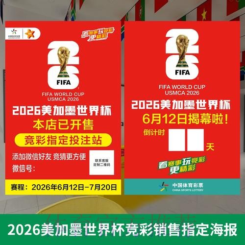 世界杯投注技巧与策略：全面解读与实用教程